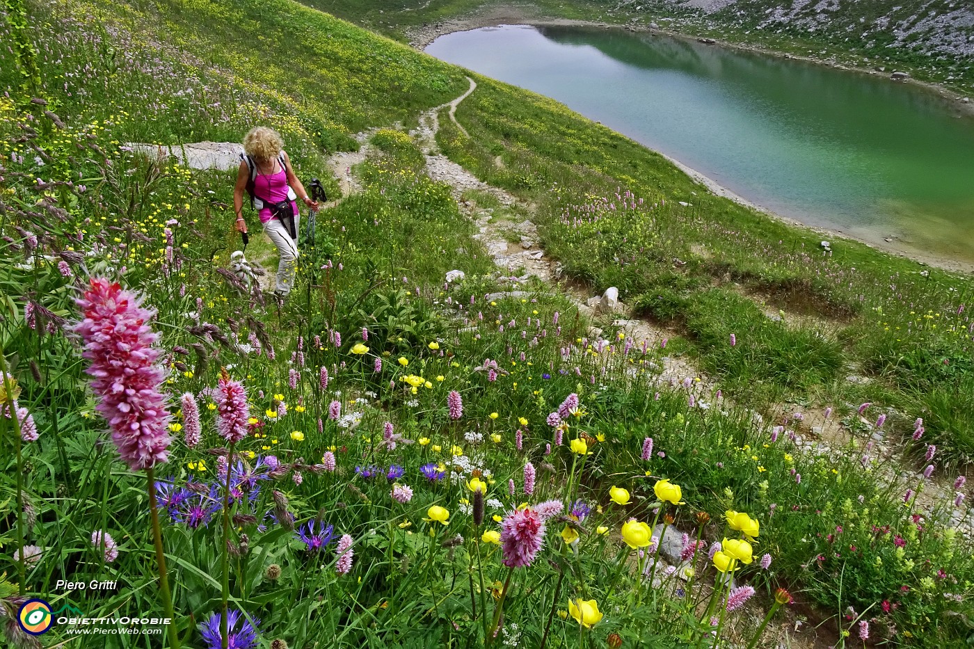 51 Spettacolo di fiori al Lago Branchino.JPG -                                